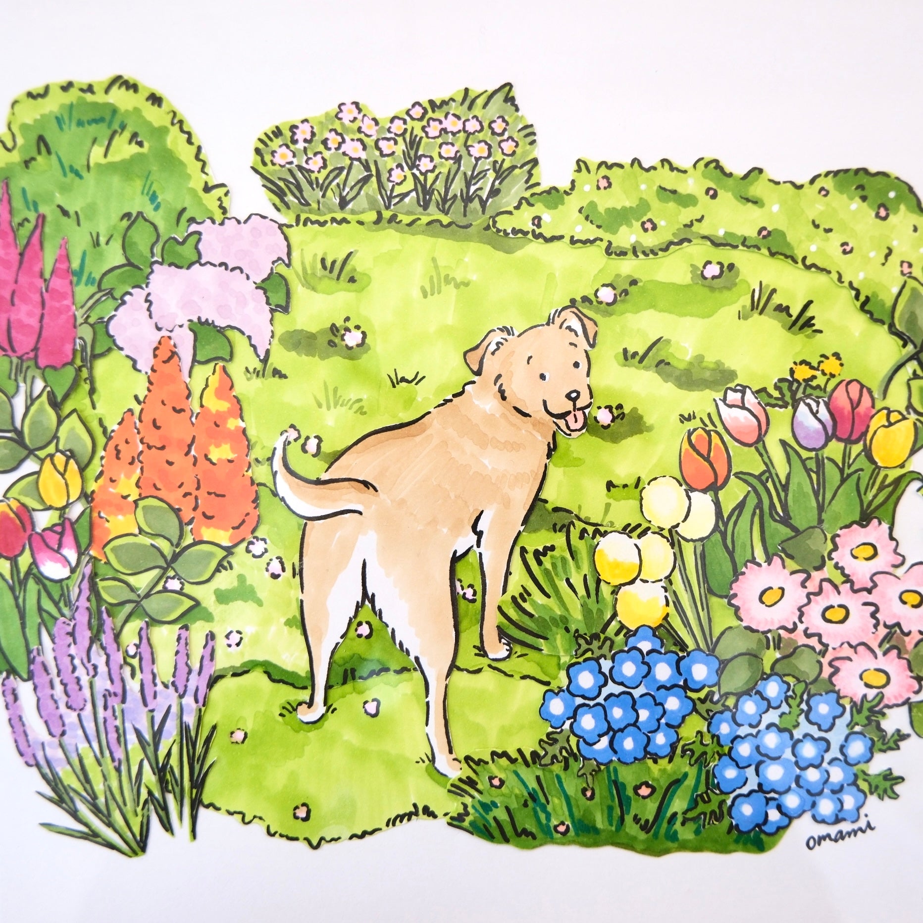 花と犬 ふりかえる時間