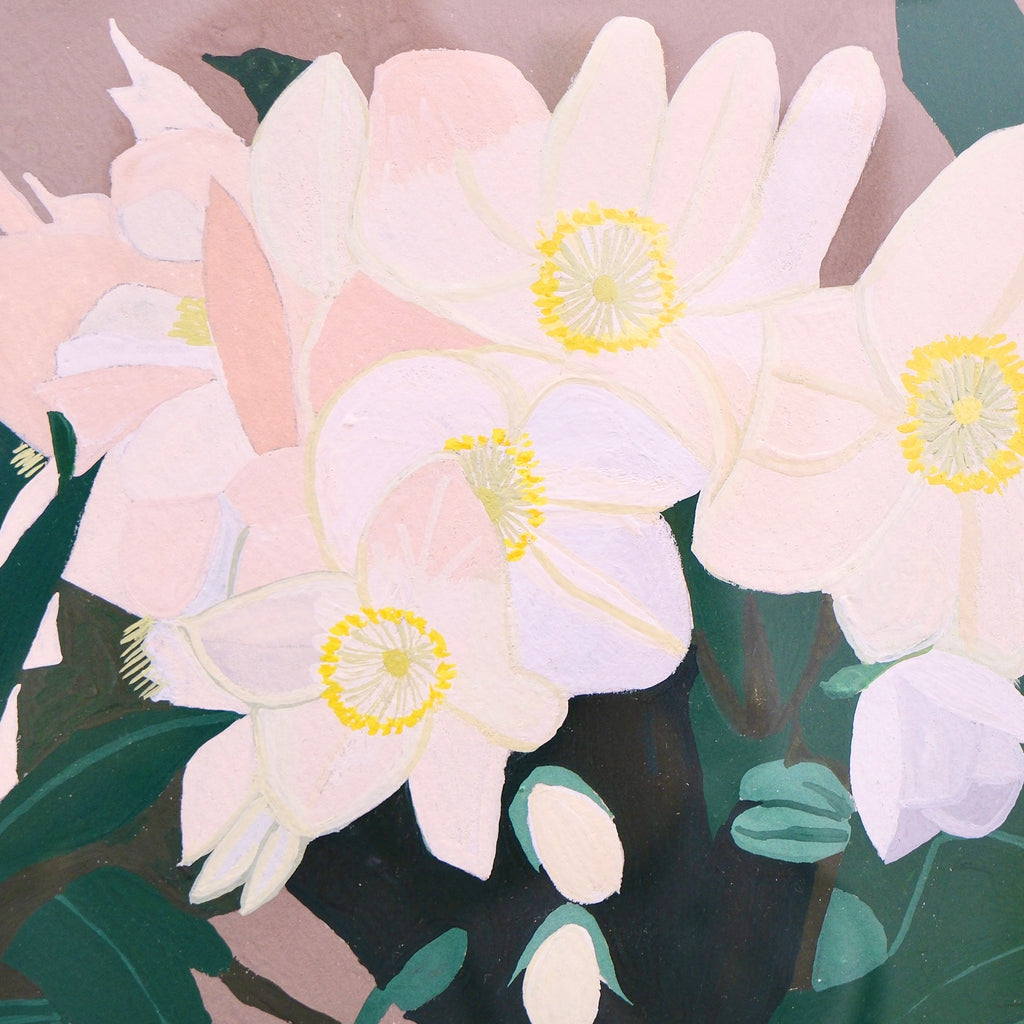 Hellebore