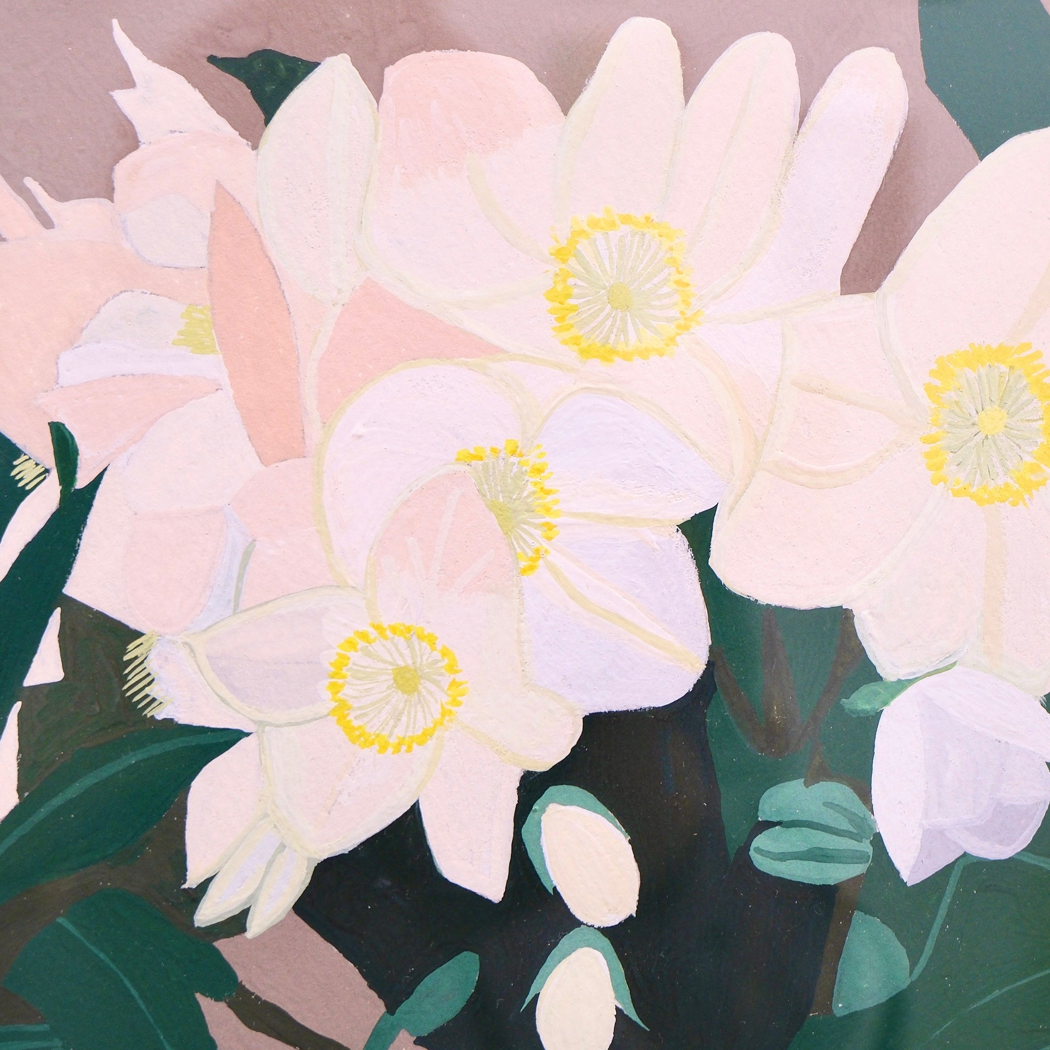 Hellebore
