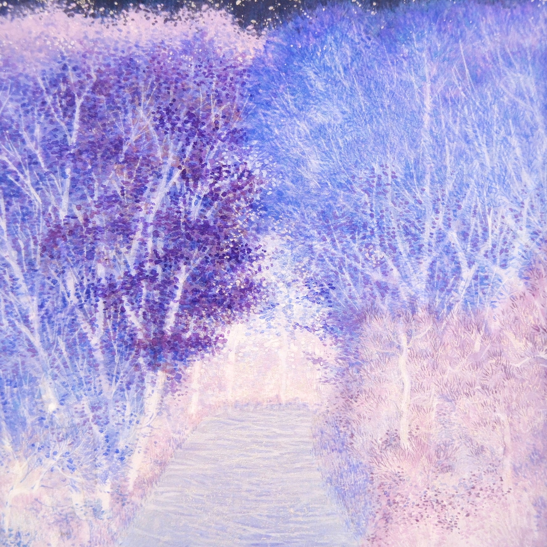 A path where the stars twinkle