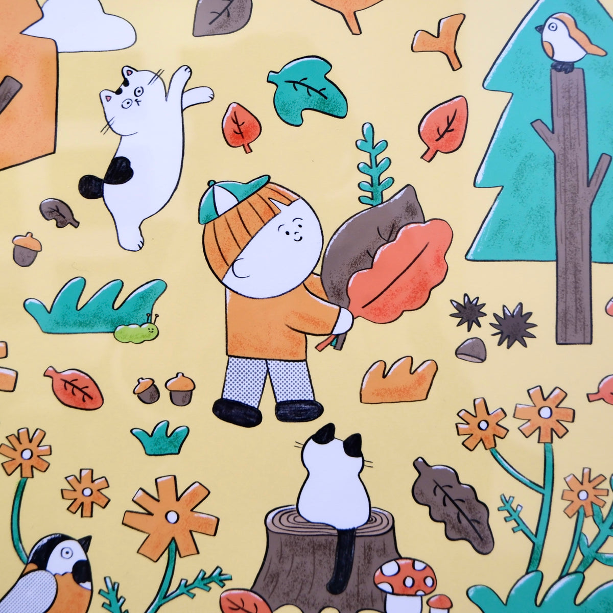 Gathering autumn

