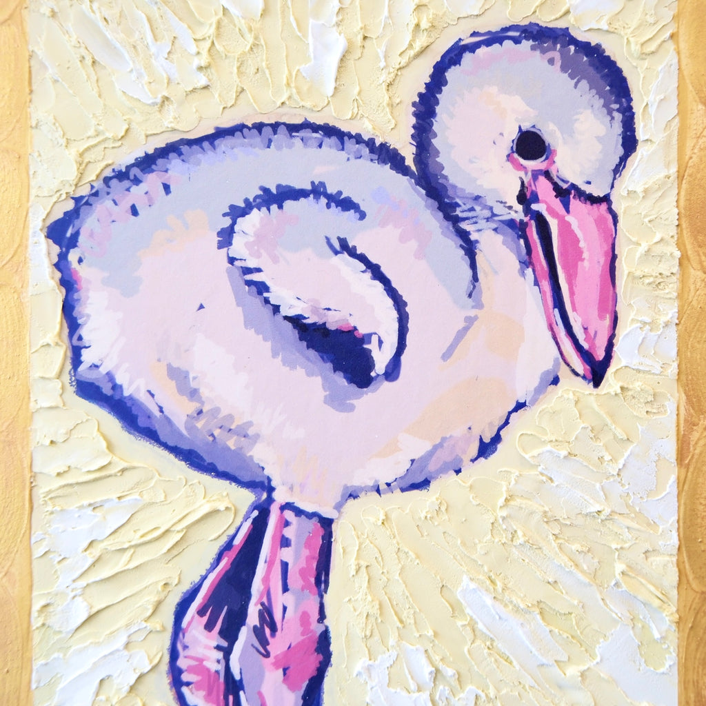 Baby flamingo