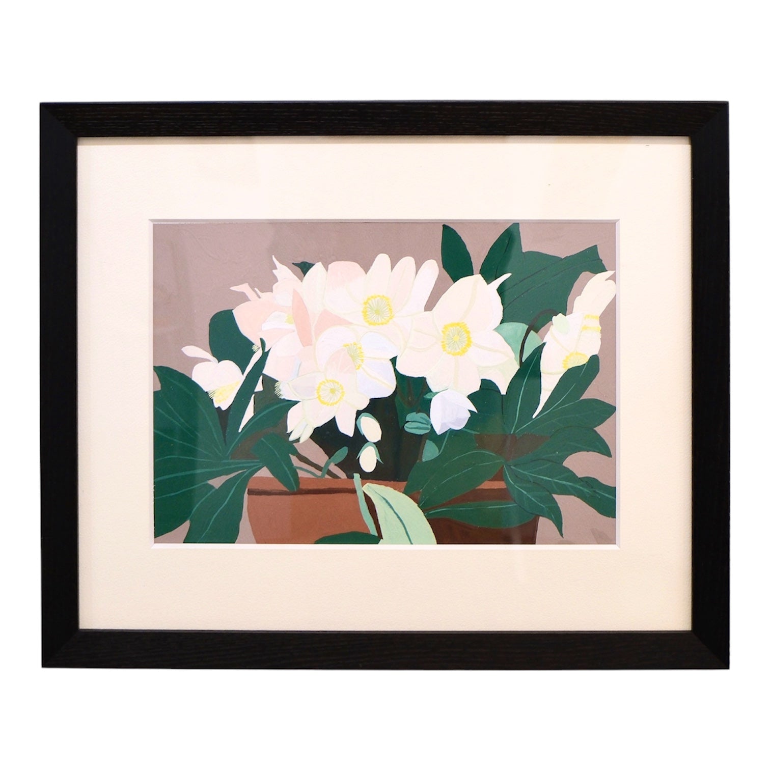 Hellebore