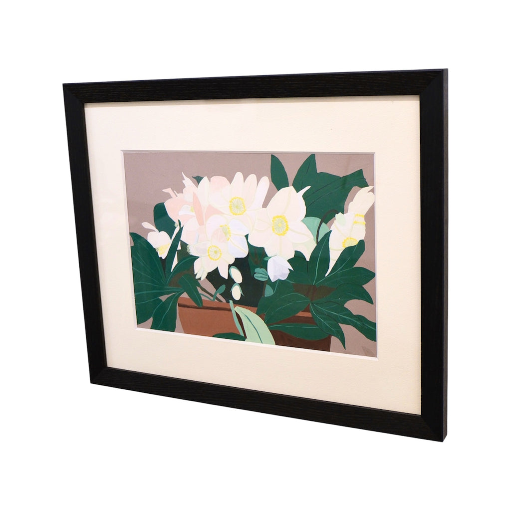 Hellebore