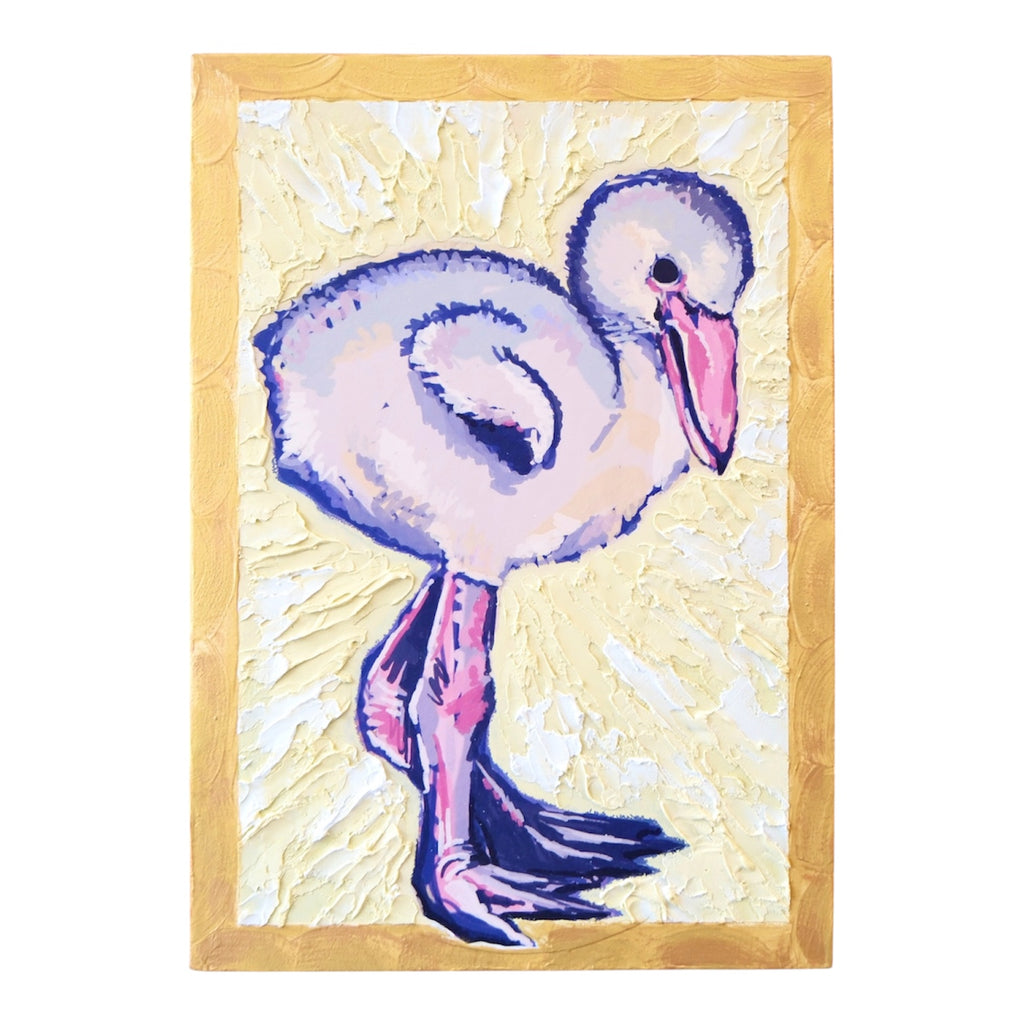 Baby flamingo