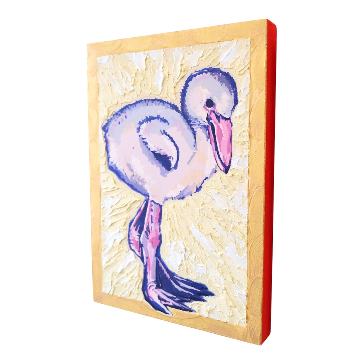 Baby flamingo